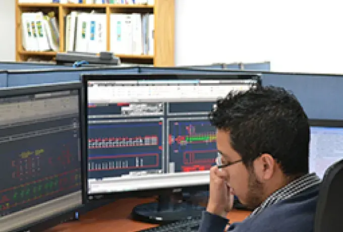 Ingeniería SAS y gestión de proyecto